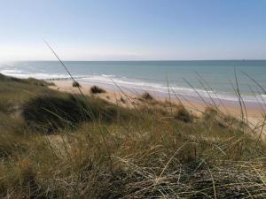 Appartements Les Dunes acces direct mer : photos des chambres