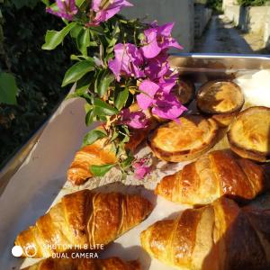 Appartamento con Vista Giardino