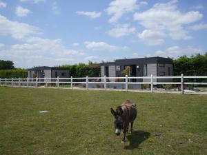 Maisons de vacances Camping Au Clos de Beaulieu : photos des chambres