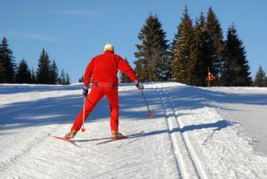 Chalets Chalet Le Petit Jura : photos des chambres