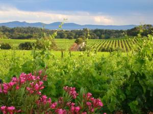 B&B / Chambres d'hotes Chateau Maravenne : photos des chambres