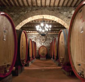 Colle al Matrichese - Historic Winery