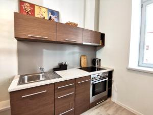 Lacplesa Downtown New 2-bedroom Apartment