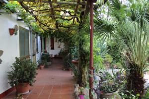 Bed & Breakfast Paui img77