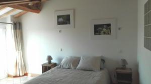 B&B / Chambres d'hotes Ferme de Bellevue : Chambre Double Standard