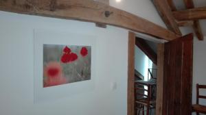 B&B / Chambres d'hotes Ferme de Bellevue : photos des chambres