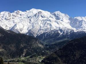 Chalets Fizhome Mt Blanc : photos des chambres