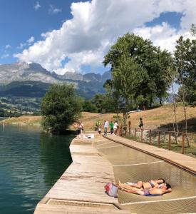 Chalets Fizhome Mt Blanc : photos des chambres