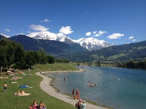 Chalets Fizhome Mt Blanc : photos des chambres