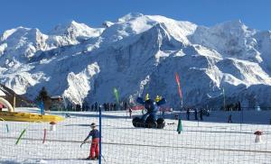 Chalets Fizhome Mt Blanc : photos des chambres