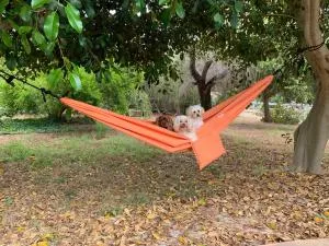 Rancho Garden Home - باواي