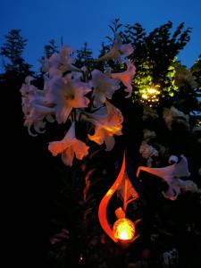 Ferienwohnungen Thalmeier