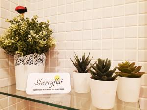 Sherryflat La Estación - Parking