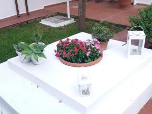 Casa Agrumeto - Locazione Turistica