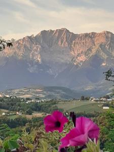MARA E MONTI