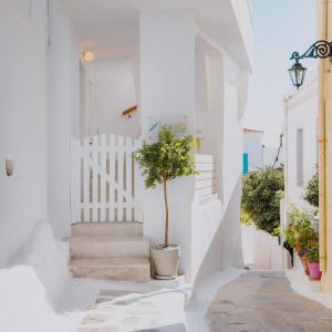 Lasia Boutique Apartment Andros Greece