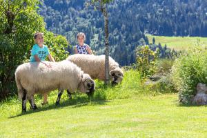 Biobauernhof Mittermoos