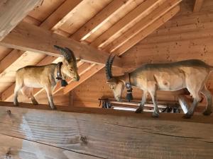 Maisons de vacances VAUJANYLOCATIONS - Le Grenier de Germaine : photos des chambres