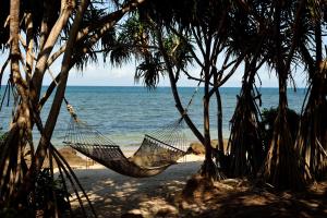 Kizimkazi Mkunguni, Zanzibar, Tanzania, Africa.