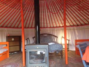 Tentes de luxe Yourte Mongole : photos des chambres