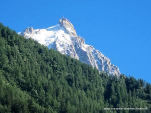 Appartements Evasion Serenite a Chamonix Mont-Blanc : photos des chambres