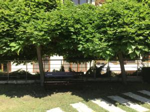 SunnySeasons Apartment with swimming pool view