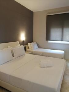 Aktaion apartments