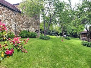 Maisons de vacances Les Grandes Vignes : photos des chambres