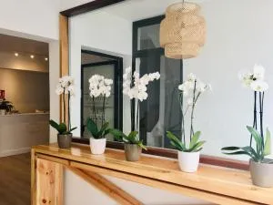 El Hotelito 27 - Las Nieves