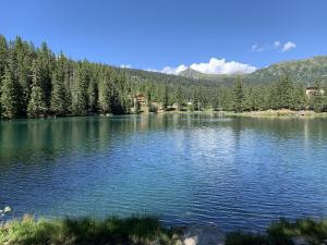 Maisons de vacances Le Jardin Alpin : photos des chambres