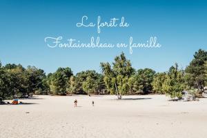 Lodges Kabaneo - gite et sauna- Samois sur Seine - Foret de Fontainebleau : photos des chambres