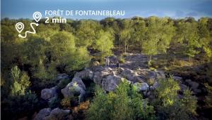 Lodges Kabaneo - gite et sauna- Samois sur Seine - Foret de Fontainebleau : photos des chambres