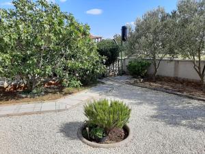 Apartman Pajo 