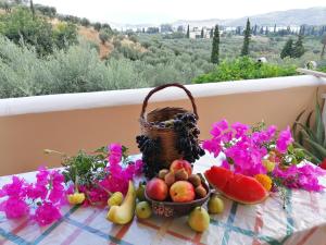 Trizinia View Garden Poros-Island Greece