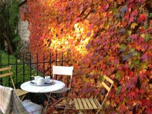 B&B / Chambres d'hotes La Demeure des Sacres - Cathedrale : photos des chambres