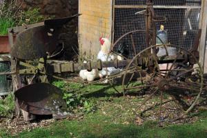 Sejours a la ferme La ferme de flo' : photos des chambres