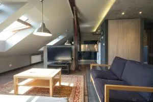 Klimatyczne poddasze - Medyka