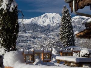 Chalets Les Greniers du Mont Blanc : photos des chambres