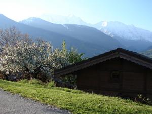 Chalets Les Greniers du Mont Blanc : photos des chambres