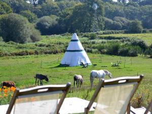 Appartements Gites & Tiny houses Les Hauts de Toulvern : photos des chambres