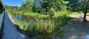 Apartmány u Michala