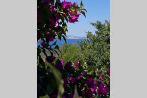 Tenute Bandera - StazzuBandera img30