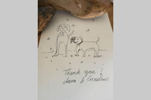 Tenute Bandera - StazzuBandera img34