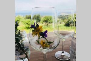 Tenute Bandera - StazzuBandera img21