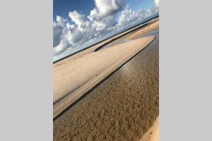 Tenute Bandera - StazzuBandera img46