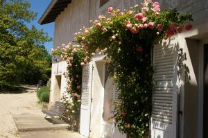 Le Clos Des Rêves photo 6
