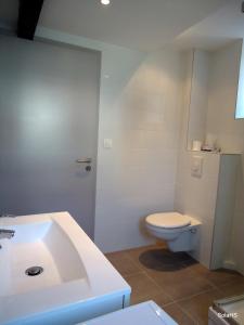 Appartements Le Nid de la Cathedrale : Appartement avec Douche