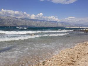 Apartments Villa Venera