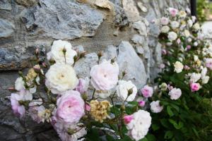 Tsarbou Guesthouse Arkadia Greece