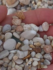 Bed & Breakfast Paui img98